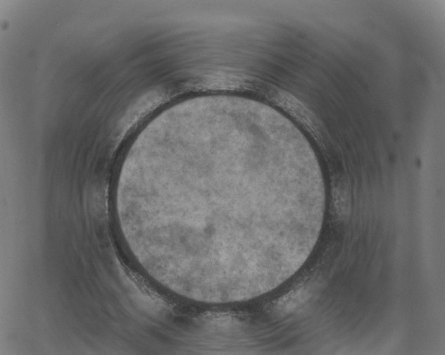 X0000062920534200601181247