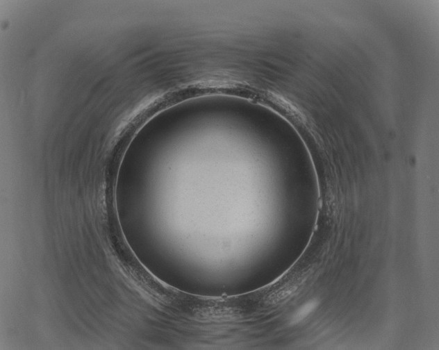 X0000062920535200601181247