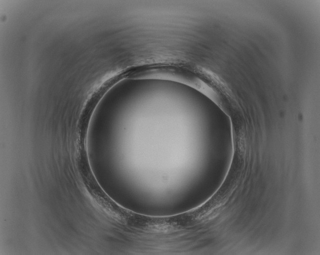 X0000062920540200601181247