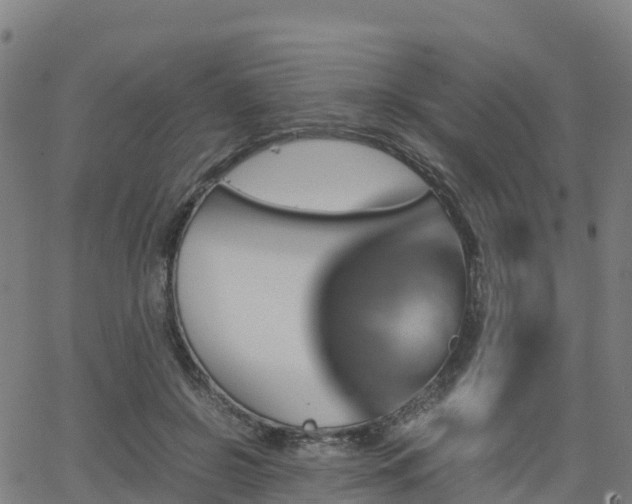 X0000062920550200601181247