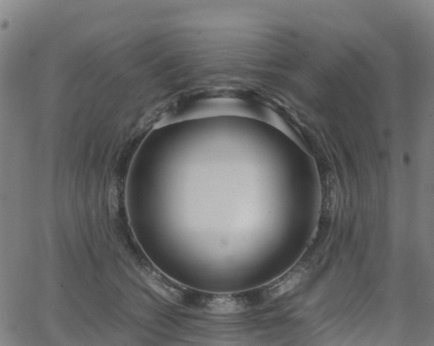 X0000062920562200601181247