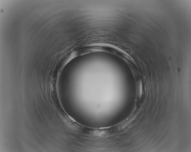 X0000062920570200601181247
