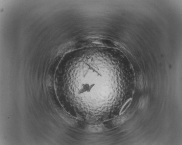 X0000062920571200601181247