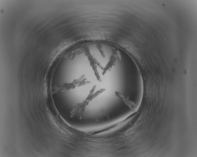 X0000062920584200601181246