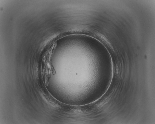X0000062920588200601181246