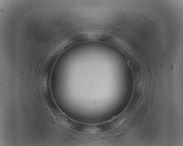 X0000062920595200601181246