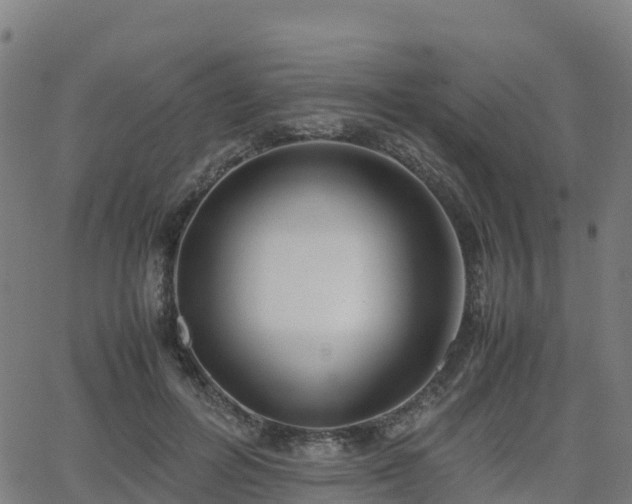 X0000062920600200601181246