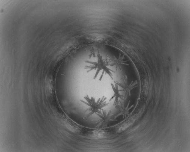 X0000062920612200601181246