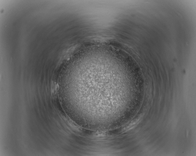X0000062920624200601181246
