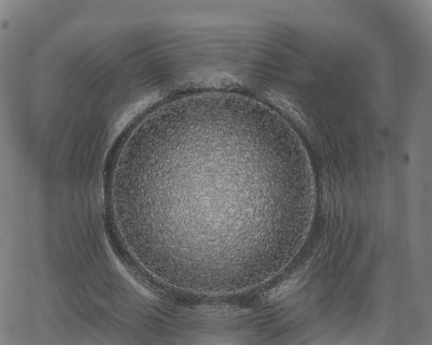 X0000062920630200601181245