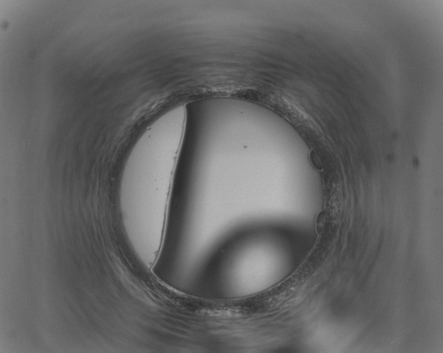 X0000062920639200601181245
