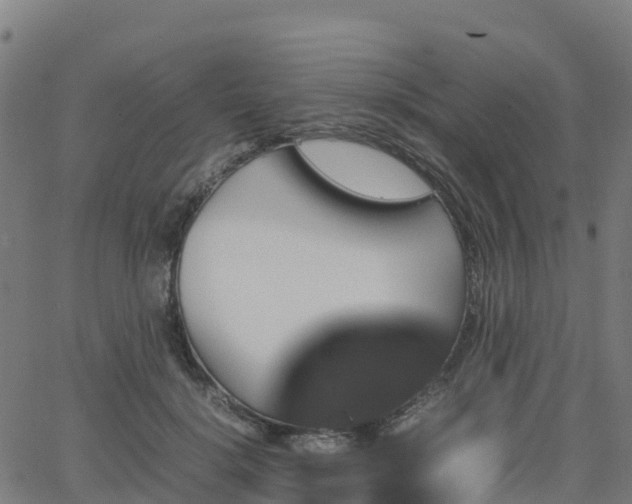 X0000062920652200601181245