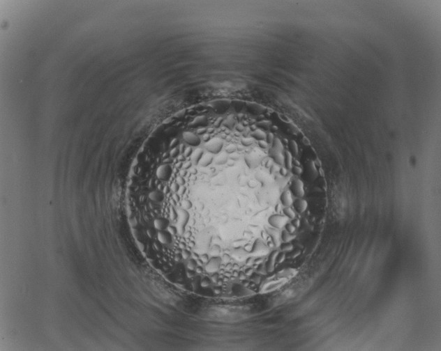 X0000062920657200601181246
