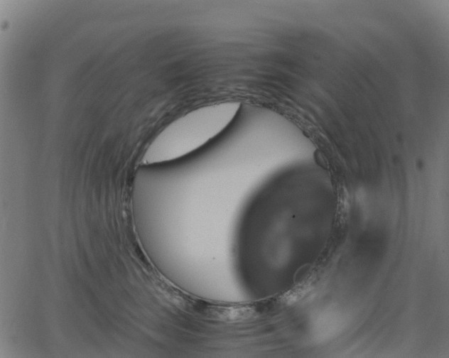 X0000062920663200601181246