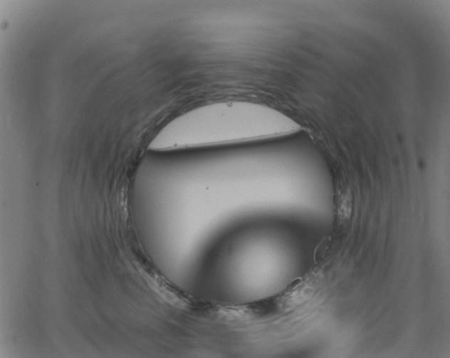 X0000062920666200601181246