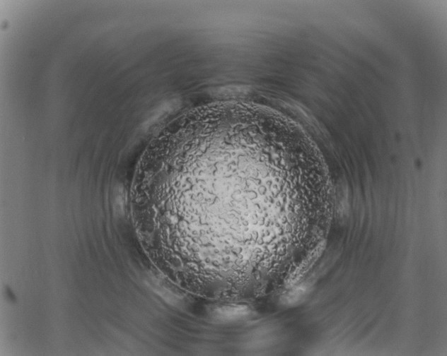 X0000062920669200601181246