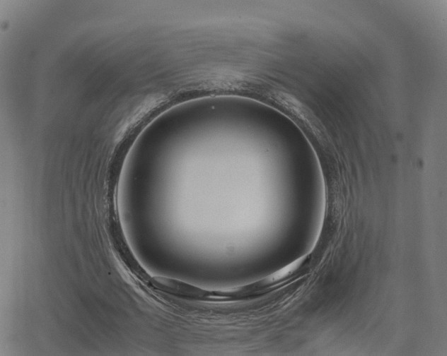 X0000062920677200601181245