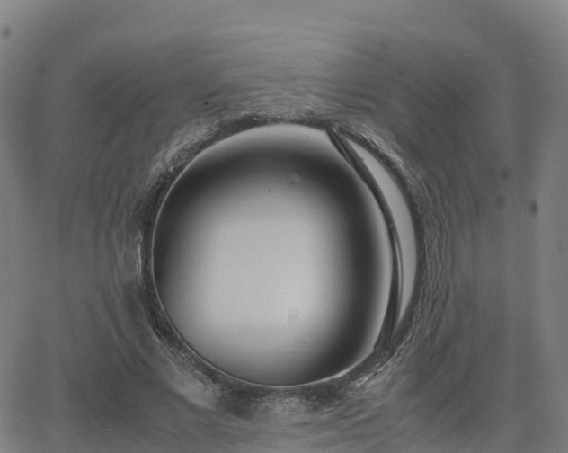 X0000062920685200601181245