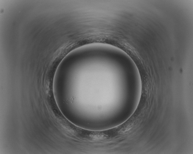 X0000062920693200601181245