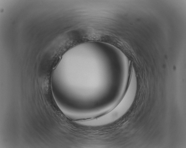 X0000062920697200601181245