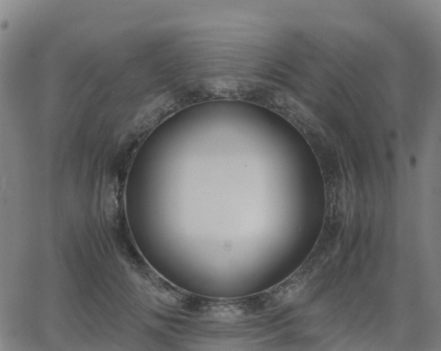 X0000062920702200601181245