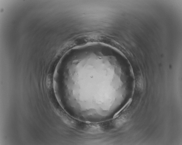 X0000062920715200601181244