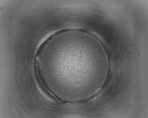 X0000062920726200601181244