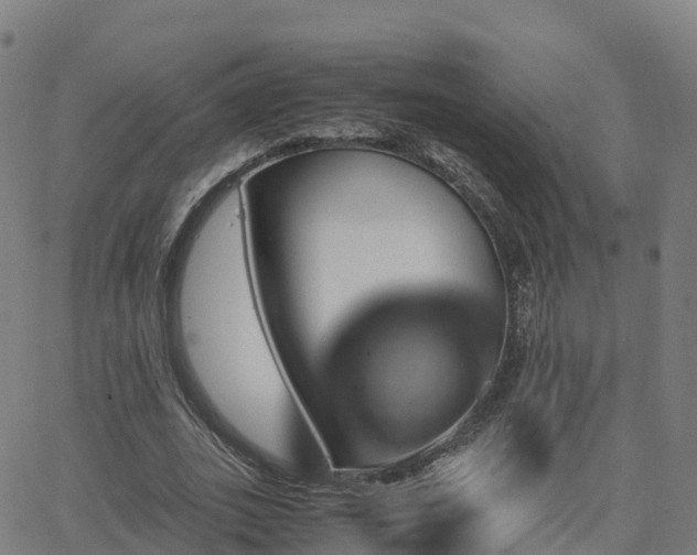 X0000062920727200601181244