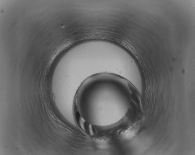 X0000062920731200601181244