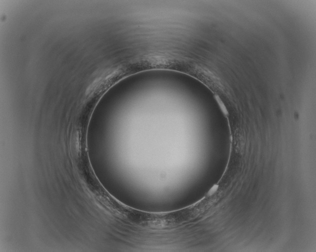 X0000062920740200601181244
