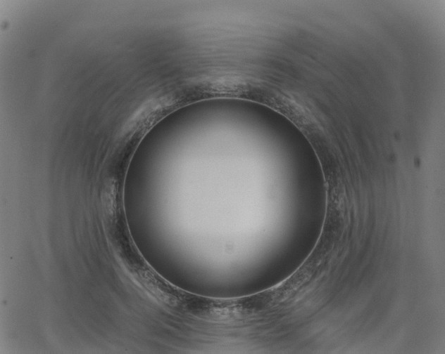 X0000062920744200601181244