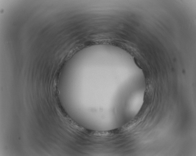X0000062920767200601181244