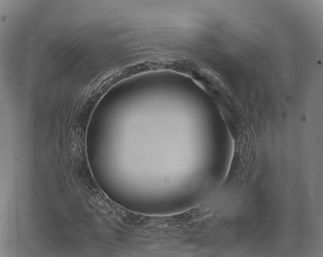 X0000062920773200601181243