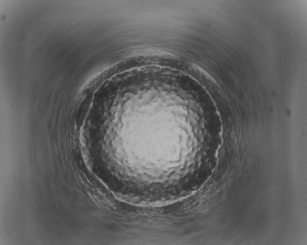 X0000062920775200601181243