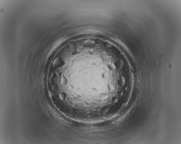 X0000062920783200601181243