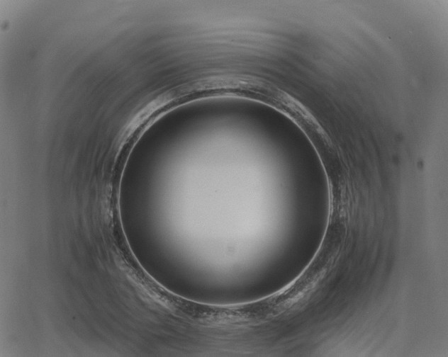 X0000062920786200601181243