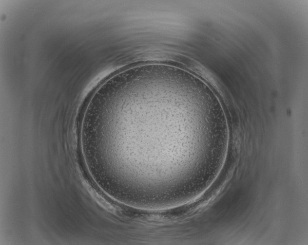 X0000062920787200601181243