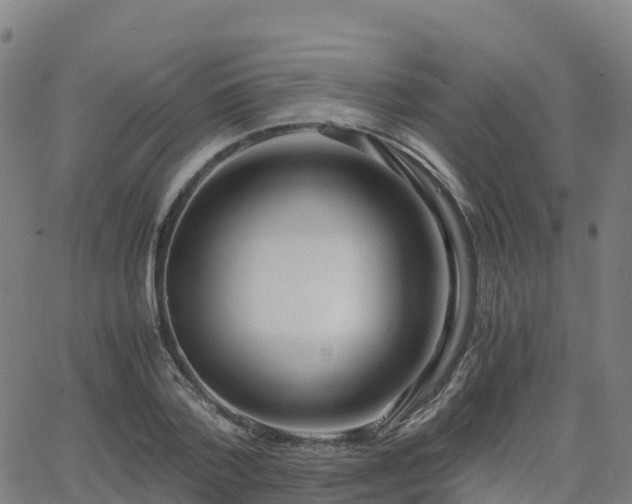 X0000062920788200601181243