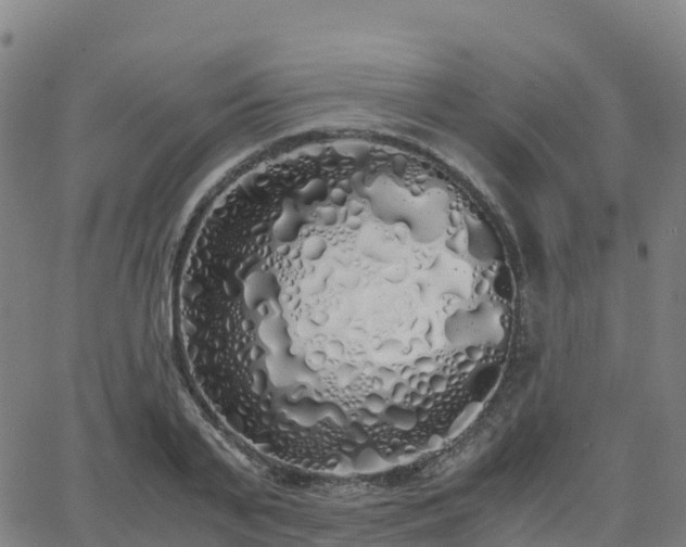 X0000062920791200601181243