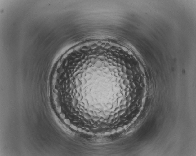 X0000062920795200601181243