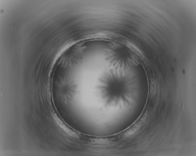 X0000062920800200601181243