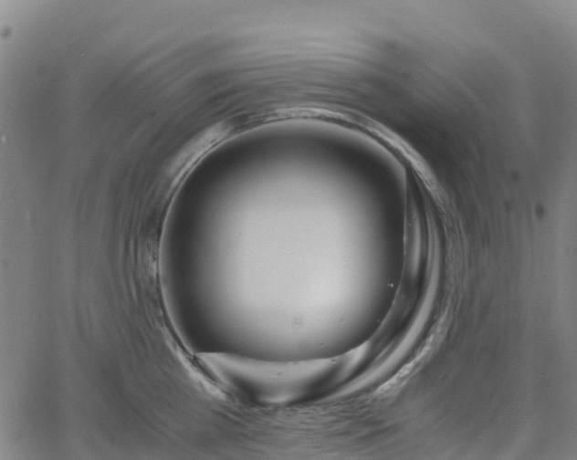 X0000062920809200601181243