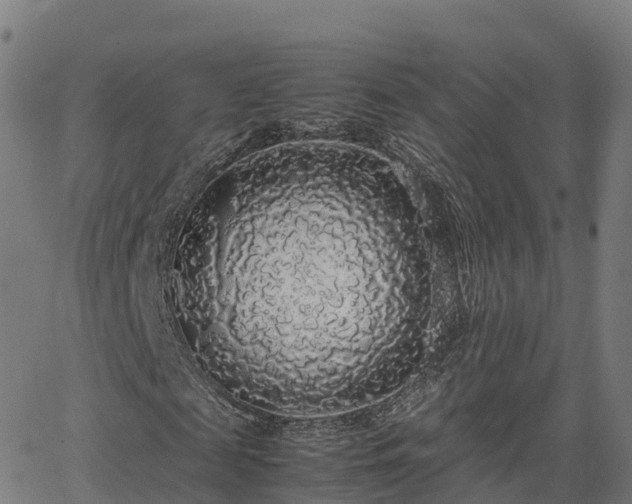 X0000062920817200601181242