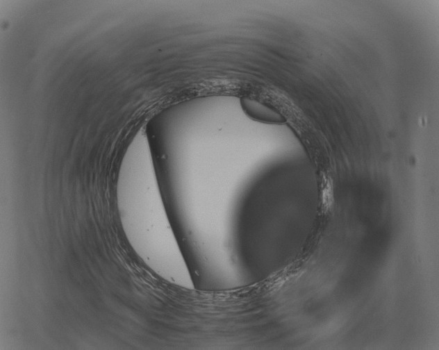 X0000062920819200601181242