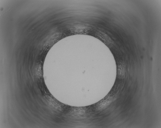 X0000062920820200601181242