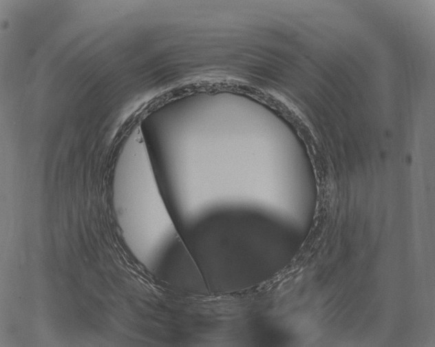 X0000062920823200601181242