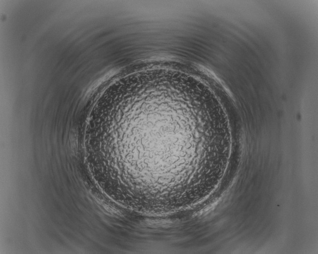 X0000062920825200601181242