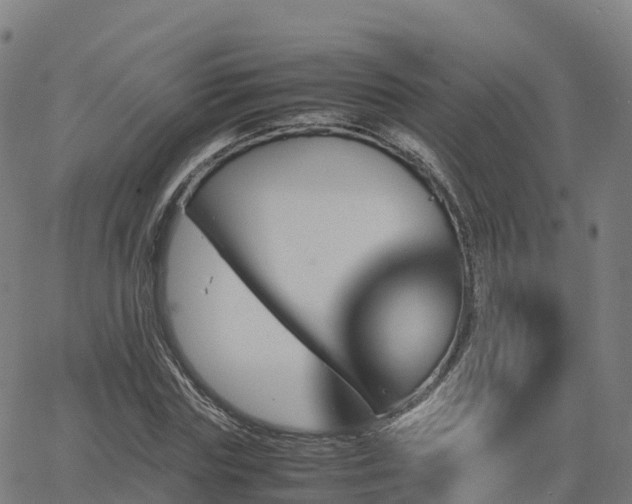 X0000062920827200601181242