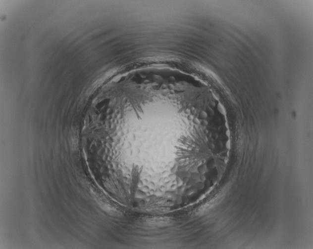 X0000062920833200601181242