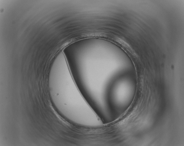 X0000062920841200601181242